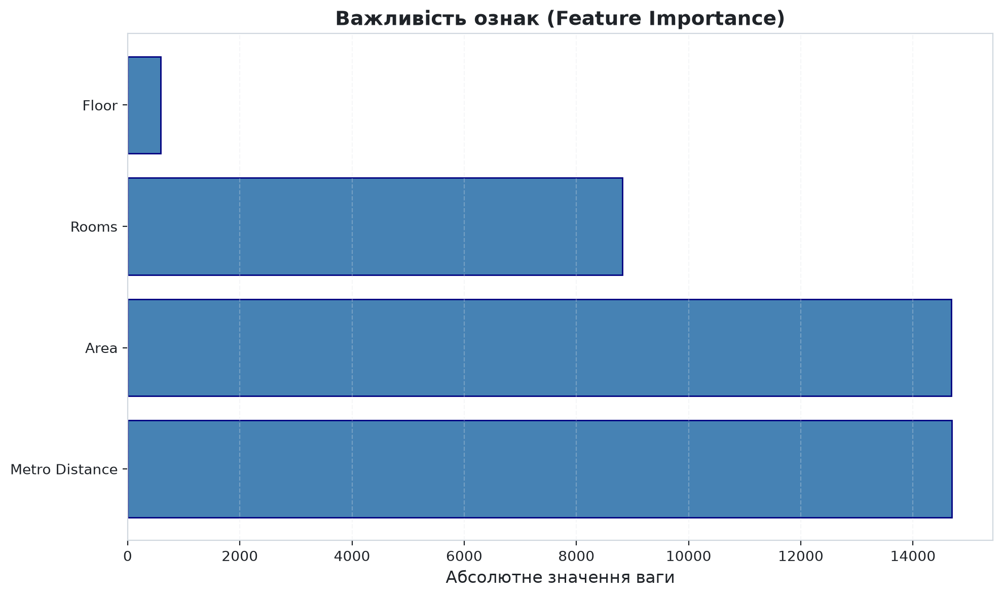 Feature Importance