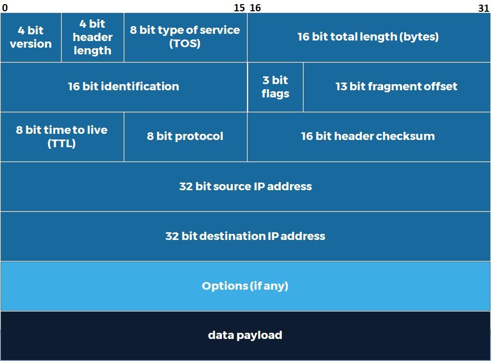 Структура полів заголовка пакета IPv4 з їх розмірами в бітах