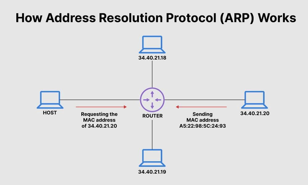 Покроковий процес визначення фізичної MAC-адреси за допомогою протоколу ARP